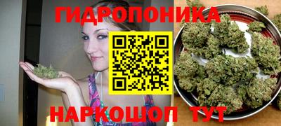 a pvp Кинель