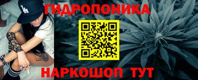 метадон Кингисепп